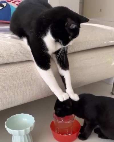 Drink up