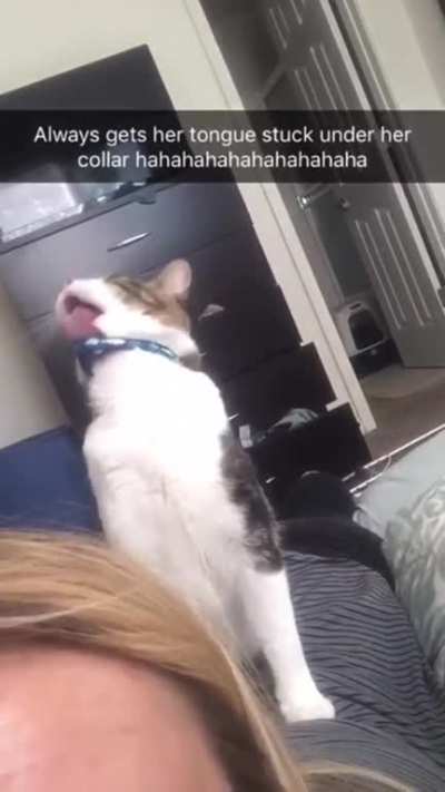 Stuck Tongue