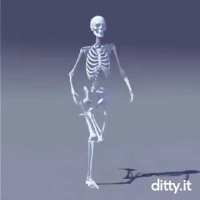 corre o corno ta vindo!!
