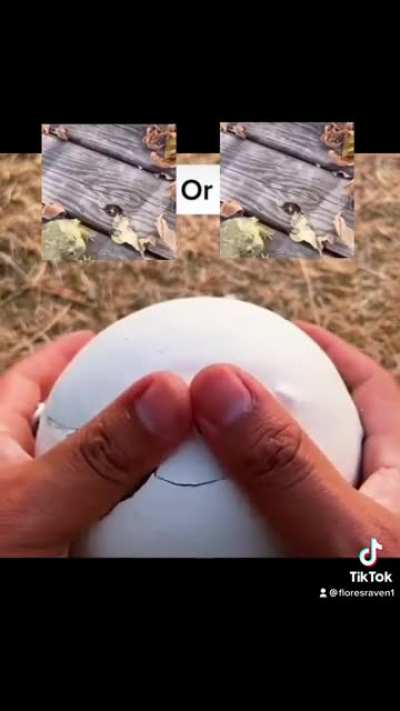 I got it wrong :(