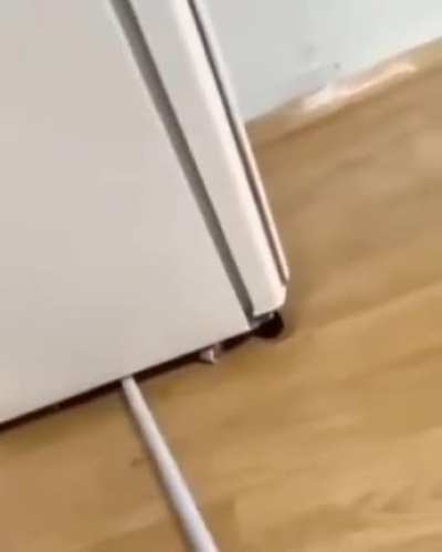 IAA