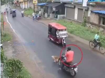Rider on mobile
