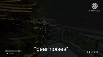 Met a bear today :)