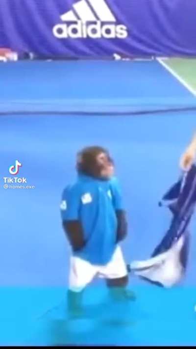 Me holding a towel for anyone that isn&rsquo;t niko
