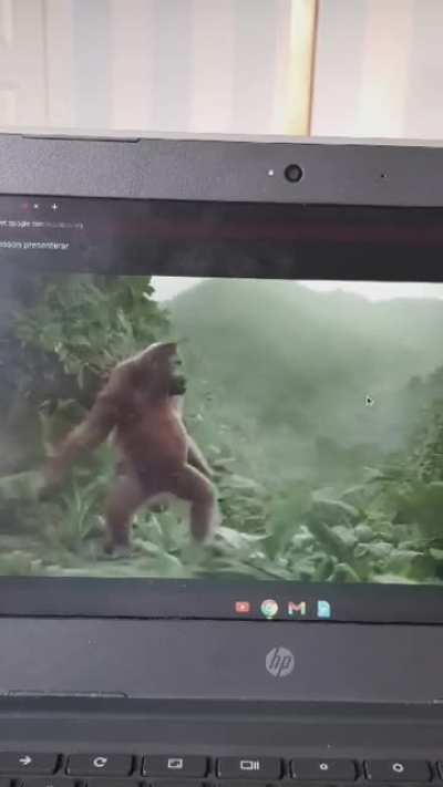 My friend shared this in our class meeting