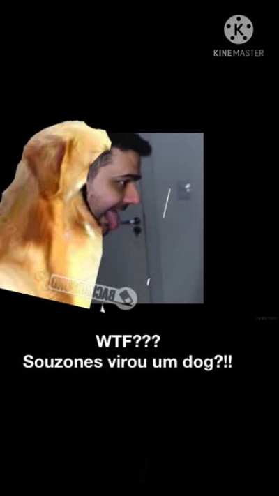 Souzones dog