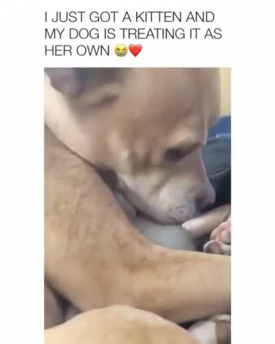 Found a new mom