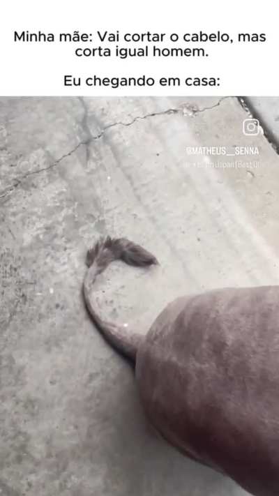 Lembrei do pisca