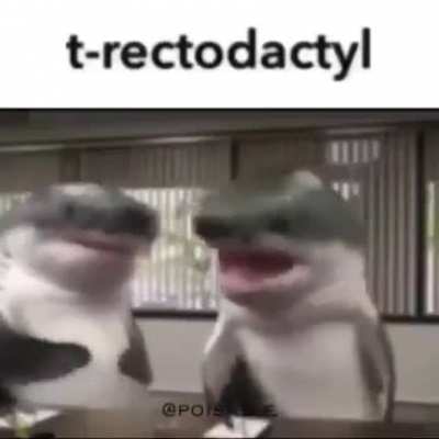 rule
