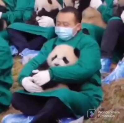 Best job ever