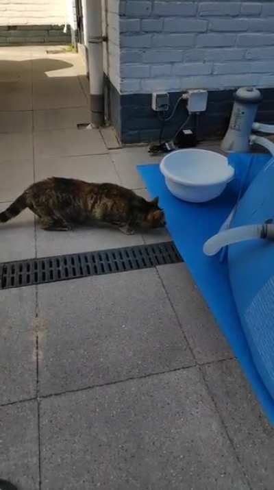 Interesting scare jump