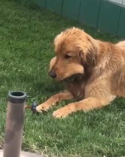He won't make 2 trips
