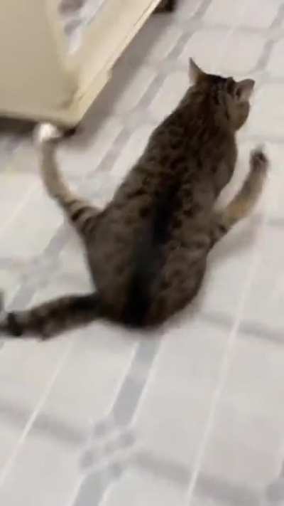 Aaaahhhh
