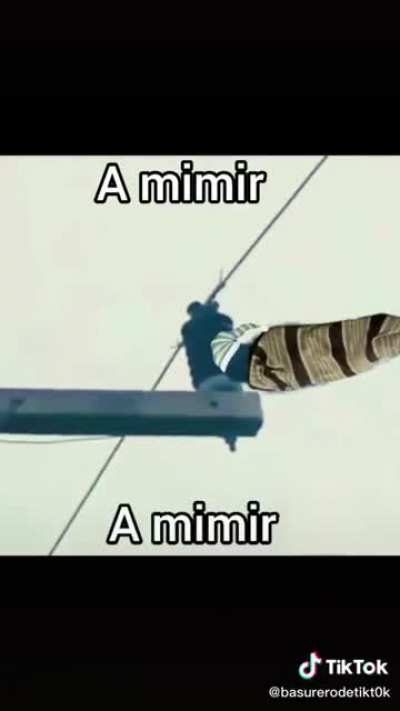 Tempo do mimir
