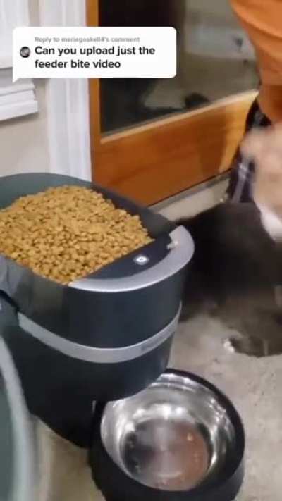 Yummy