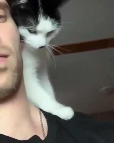 Can I have a kiss, please?