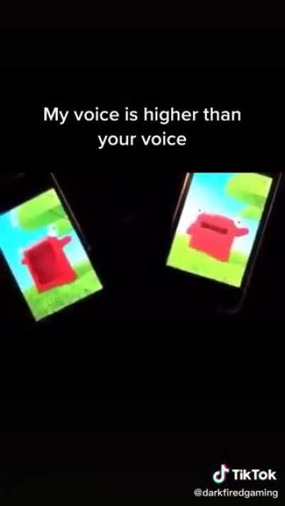 My voice