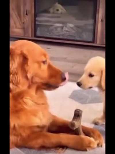 Loving mother
