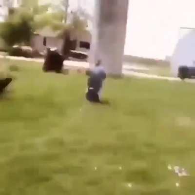 Zombie Dog