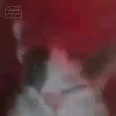 ??????????????????