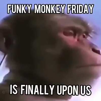 monke vibe