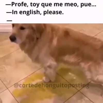 In English