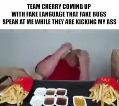 Team Cherry Language Policy