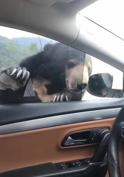 Hello, please let me in!