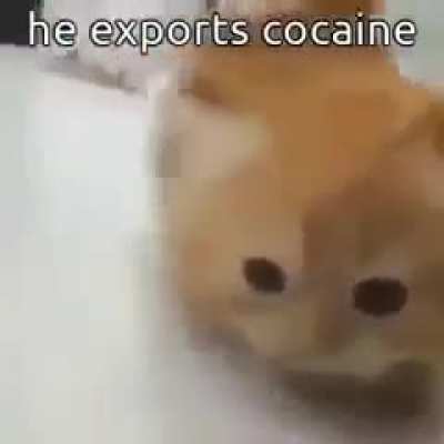 Memes