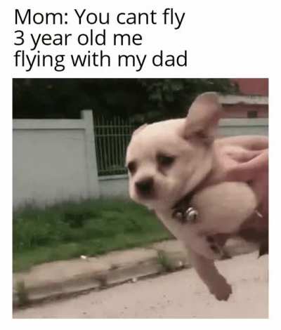 I swear I flew