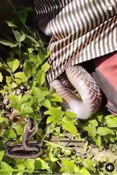 To sit under a shady tree