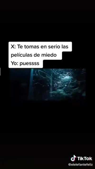 MOMASO