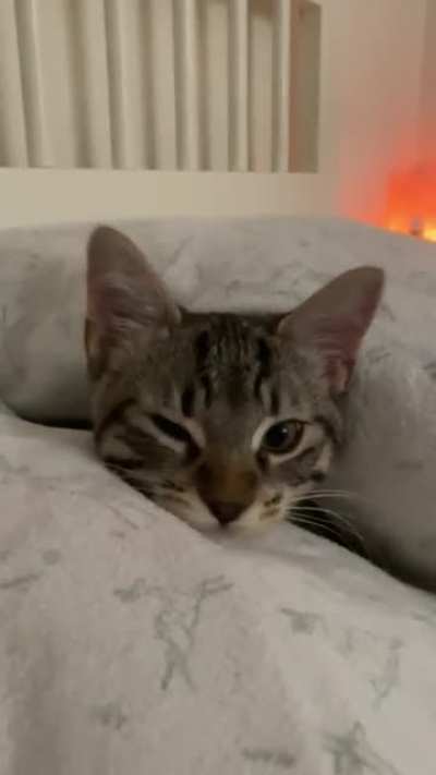 meet finn🥰