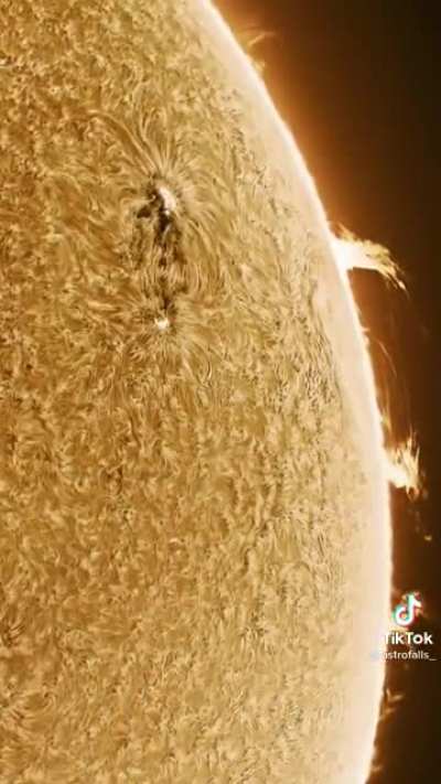 Here comes the Sun