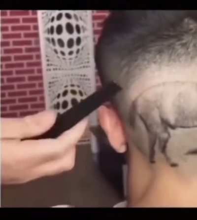 Horse hair bro&hellip;.
