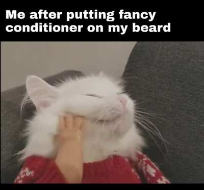 me_irl