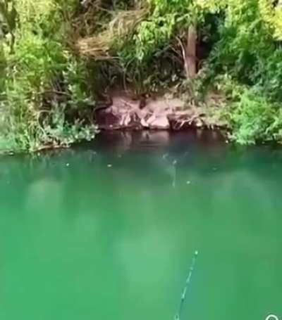 What is that?
