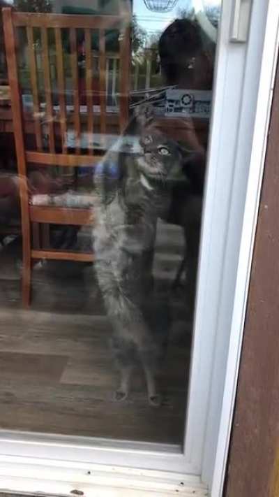 Touch tha glass