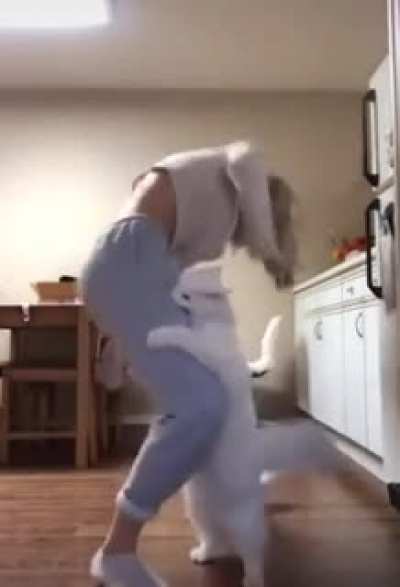 Kitty's Revenge