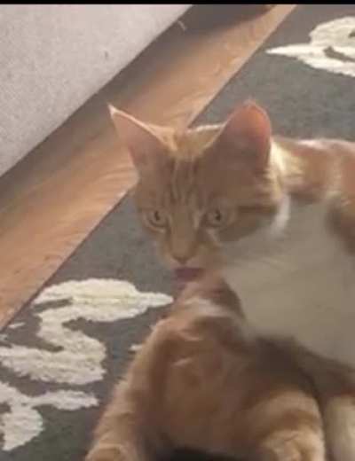 When you&rsquo;re in mid groom and you suddenly remember that embarrassing thing you did years ago.