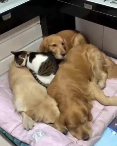 The perfect spot