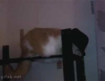 A smooth criminal