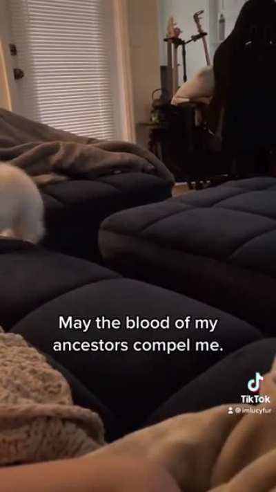 Wait for it&hellip; 😂