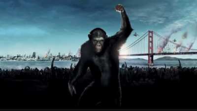 🚀This is ENDGAME🚀 (update 2/3), final update comes after the squeeze😉 see you on the moon apes🦍