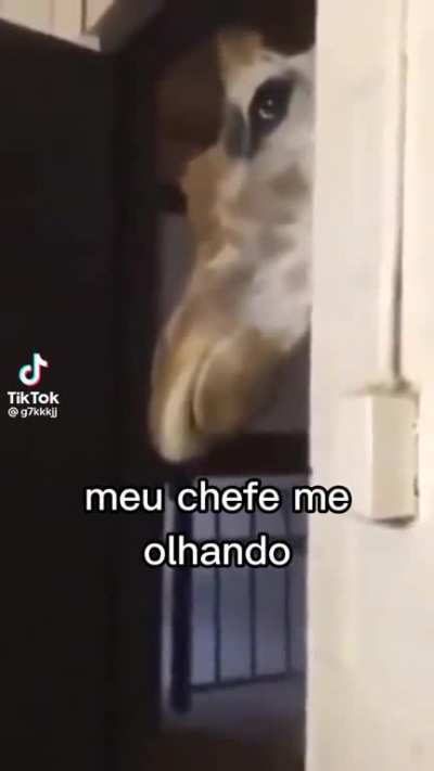 😨
