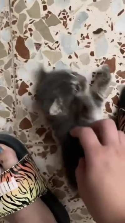 officer, help! I've caught the suspect