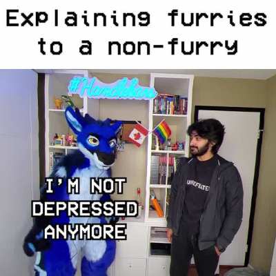 Me explaining to my normie friend why I enjoy furries so much