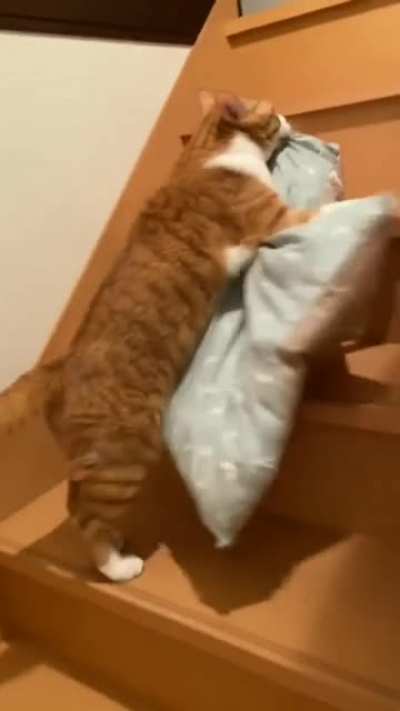 Time to sleep