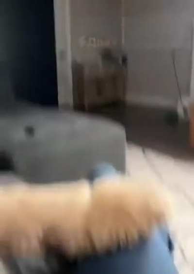 I think this fits in this sub 
