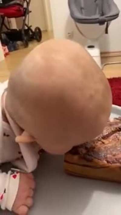 little &scaron;pek lover